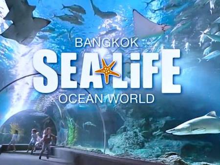 (Sea Life) Ocean World +  Madame Tussauds + Digital Photo