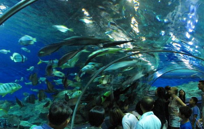 Ocean World, Pattaya - #0