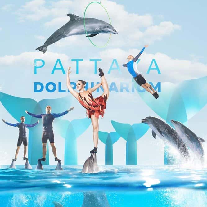 Dolphin Show, Pattaya